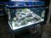 ACQUARIO MARINO ILLUMINATO A LED